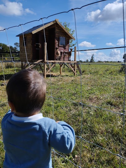 Mam Les P'tits Fulks, Assistante Maternelle à Grand-Fougeray