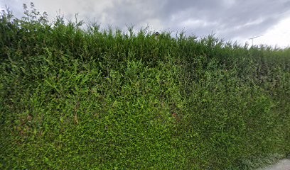 123 Sun, Assistante Maternelle à Saint-Ouën-des-Toits