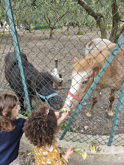 Nounou Ketty, Assistante Maternelle à Castagniers