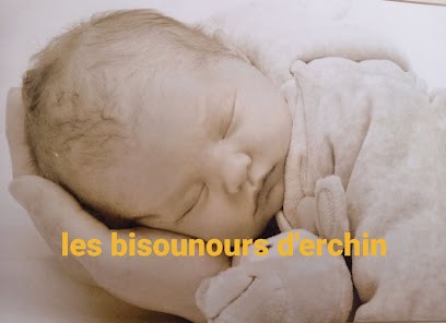 Les Bisounours D'erchin Micro-Crèche, Crèche à Erchin