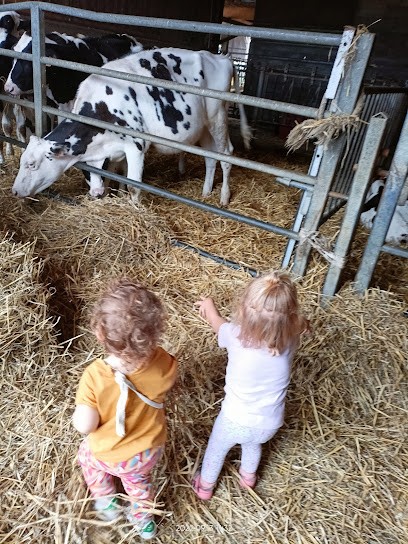 Aline, Nounou Nature, Assistante Maternelle à Mer