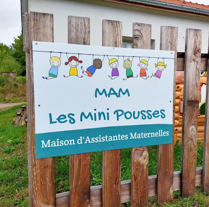 Mam Les Mini Pousses, Assistante Maternelle à la Baffe