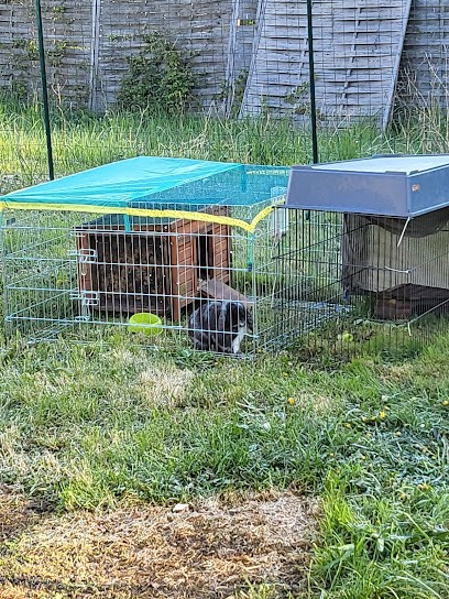 Sillieres Barbara, Assistante Maternelle à Toulenne