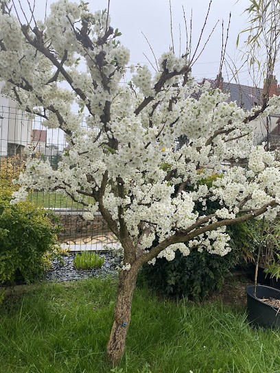 Mam Les P'tits Filous, Assistante Maternelle à Savigny-sur-Orge