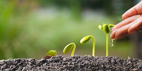 Micro-Crèche Graines De Vie, Crèche à Wasquehal