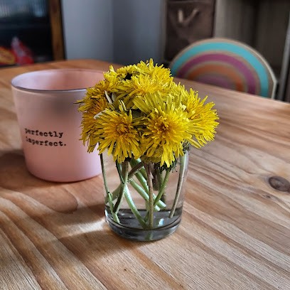 Chez Nounou Sandra, Assistante Maternelle à Ploumagoar