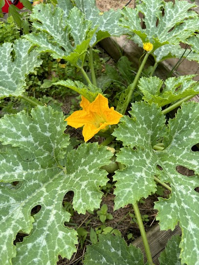 La Cabane Enchantée, Crèche à Pantin