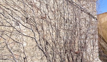 Service Technique Municipale, Crèche à Montauroux