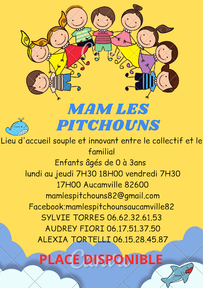 Mam Les Pitchouns, Assistante Maternelle à Aucamville