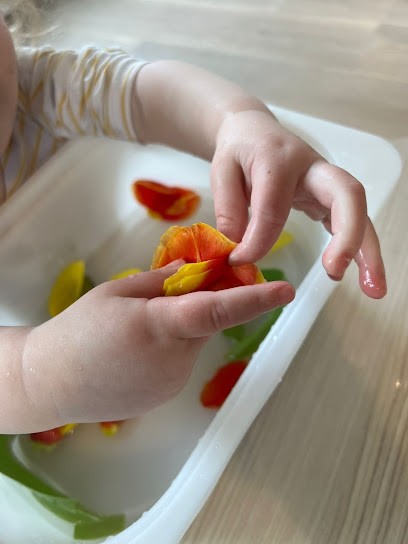 Micro-Crèche Pas Si Petits, Crèche à Foncquevillers