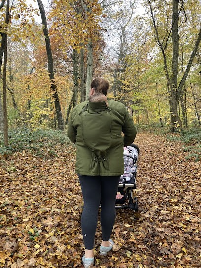 Élisabeth Le Roux, Assistante Maternelle à Montcourt-Fromonville