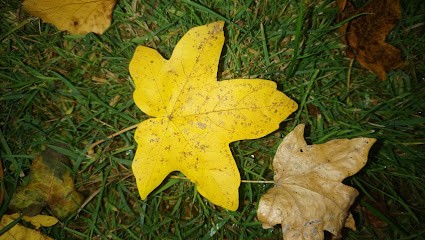 Ma Mam À Moi, Assistante Maternelle à Roumare