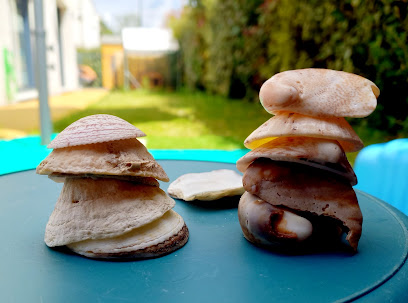 Micro Creche Les Petits Kolibris, Service De Garde D'enfants À Domicile à Chantepie